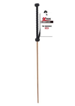The Obedience Cane