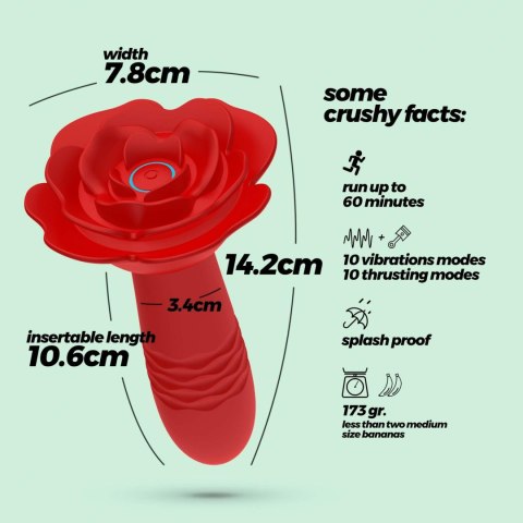 CRUSHIOUS ROMEO THRUSTING ANAL PLUG WITH REMOTE CONTROL