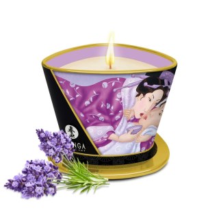 Massage Candle Fragrances Lavender